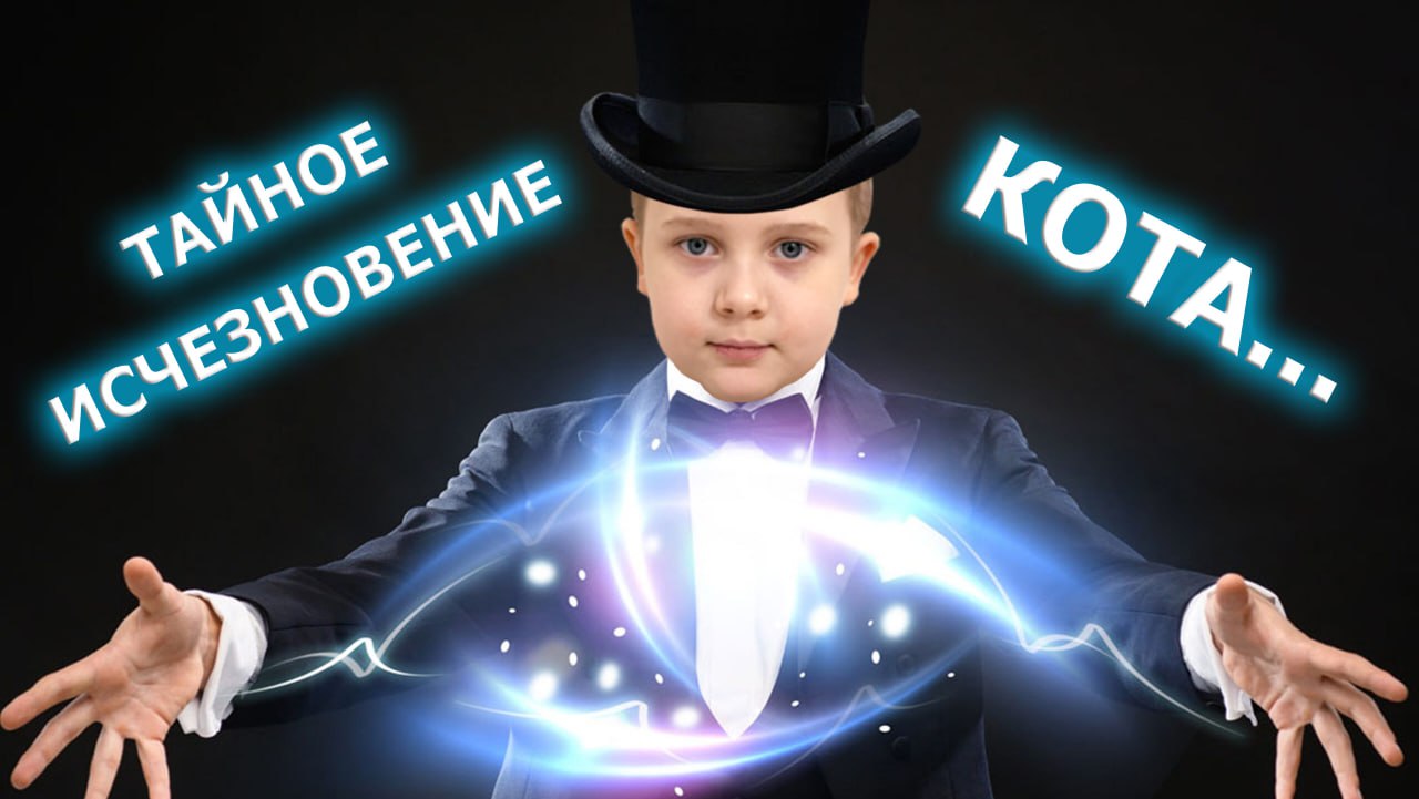 Таинственное исчезновение кота!!!
