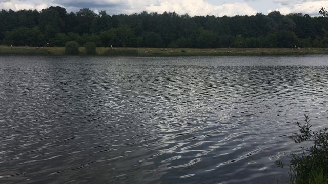 21-07-2023 Пикник