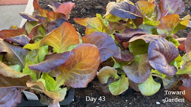 758c391a8adceec114a94c93f407eb71