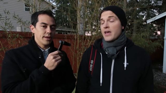 8fed83cc2546acb812574fcfce66699c