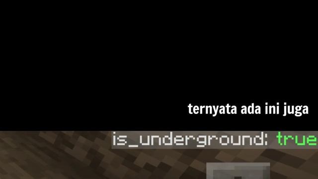 7 Java Addon Yang Akan Mengubah Minecraft PE Menjadi Java Edition!