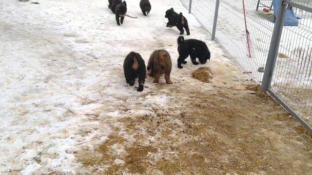 4e6e3ea3e92e99317b4f48bf1408e2fc