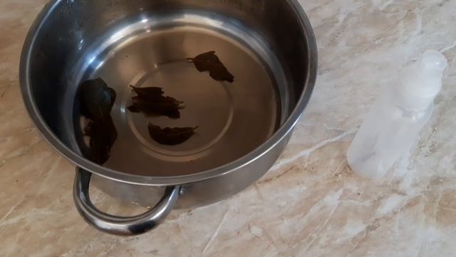 D0cf8c69d07cca2b9d174a0a13009182