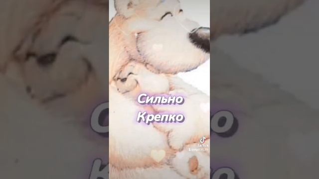 4 декабря-день обнимашек ❤️