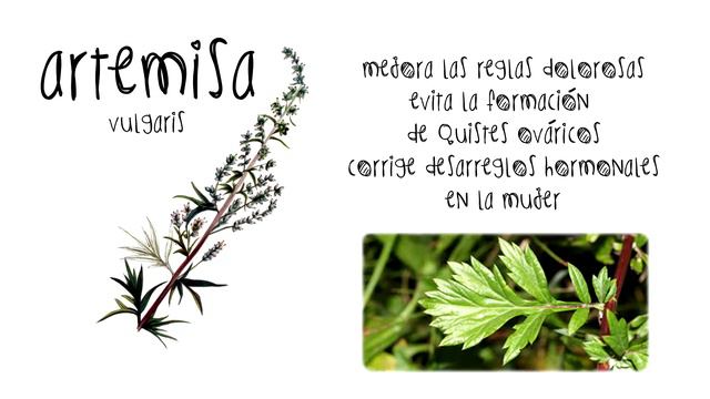 081e9aa4bd95868c925a83f217a1c32c