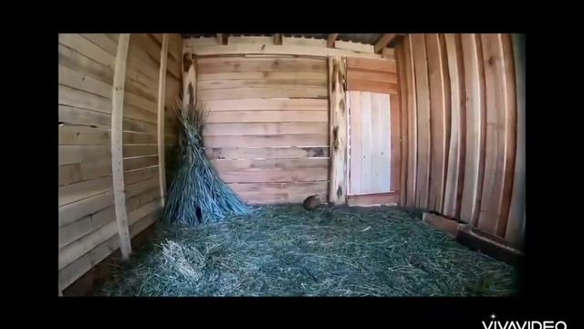 Проектная работа по географии  - Охраняемые территории РМ 