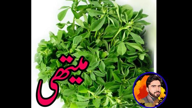 Vegetables Ghar Mein Lgany Ka Asan Tarika|How To Grow Winter Vegetables At Home | Kitchen Gardening