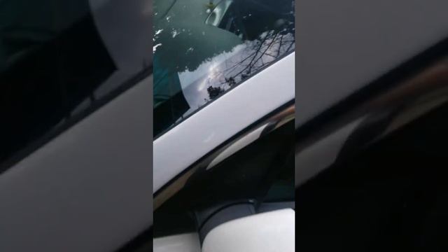 Экстремальная трехколесная любовь