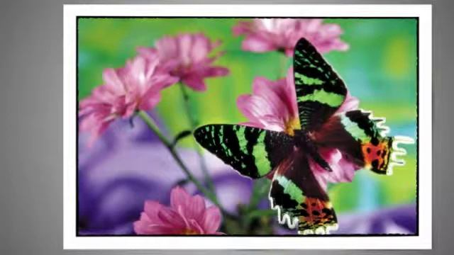 Фоторамки.m4v