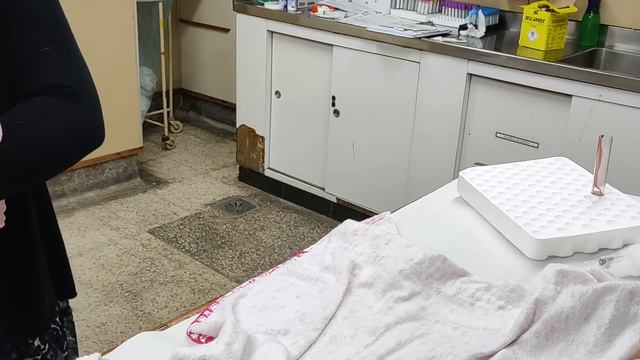 Emanuelle. coleta de sangue Blood test анализ крови آزمایش خون prueba de sangre Bluttest فحص الد
