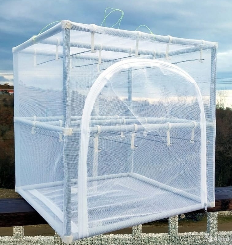 56ebe49f8c11fa7ba0a5944215d93550