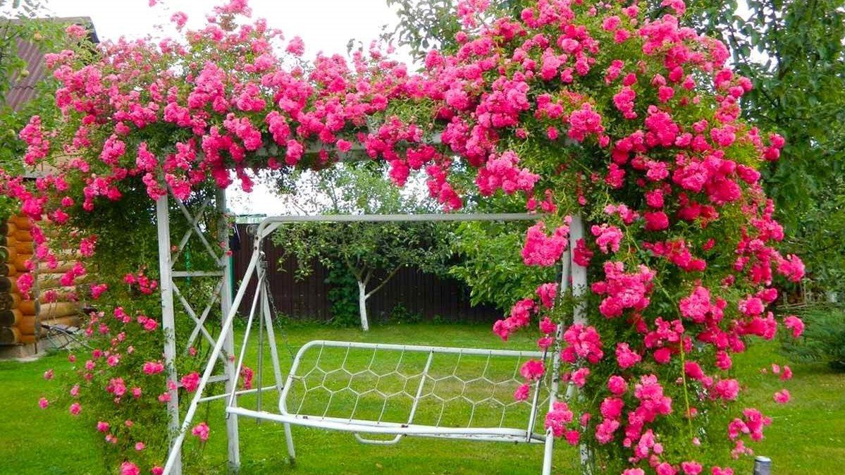 ?Великолепные идеи для декора и ландшафтного дизайна / Decor And Landscape Design Ideas / A - Video