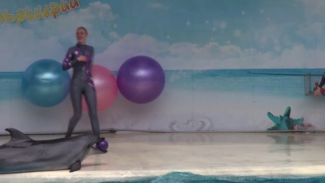 Шоу в дельфинарии Коктебеля. Крым. Проект Патрули Времени 2013