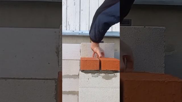 62c6d6f2172096575519110b6f356ce3