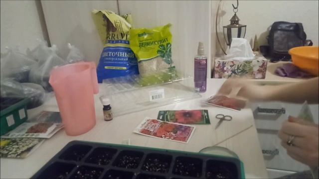 Как посадить петунию на рассаду?