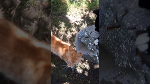 F783bdef573600ac65d18250430b0966