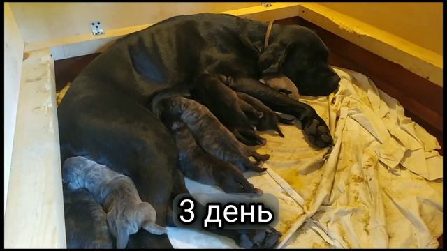 17c07635b2d303039d15dbfc32951ed2