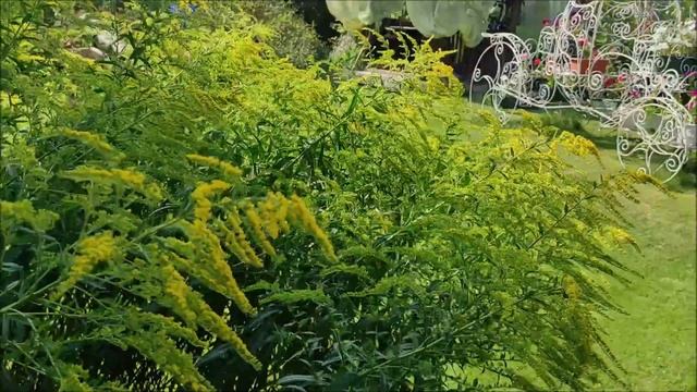 УЗБЕКСКИЙ ПЛОВ на живом огне в КАЗАНЕ.