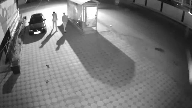 Уличная IP-камера ZNV ZBIE-2151W-N4T-A, 1,3 Mpx, 25 к.с., Цифромания, Ингушетия, Ночь Люди