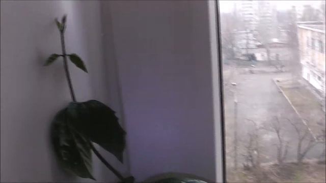 Cf5373461b9f2fc56d6bb40f41459097