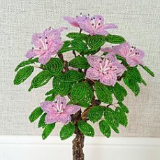 6c2ad8f689b193e9e2013596889ce3ea