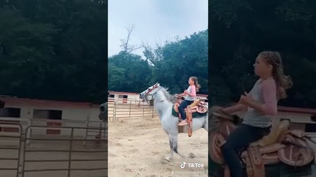 Antonio King Ranch Pony Parties Horse Boarding Horseback Riding Weddings Quinceñeras#4