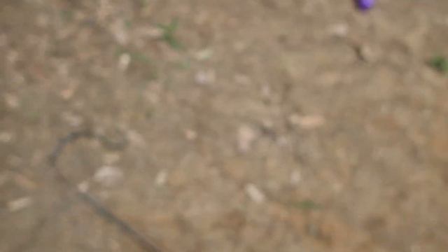 Magnet Fishing Civil War Crossing Part 2