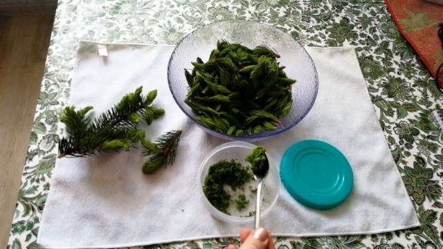 Хвоя для канареек. Подкормка и заготовка на зиму.