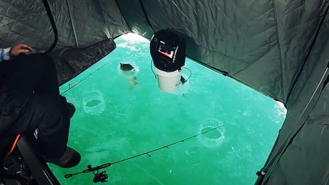 Зимняя рыбалка в тëмной палатке - это не передаваемо!