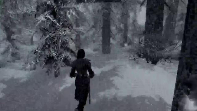Skyrim Master - (female) (rookie Play + Chat)
