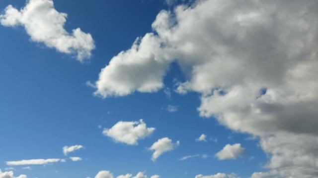 25 августа 2020 г.