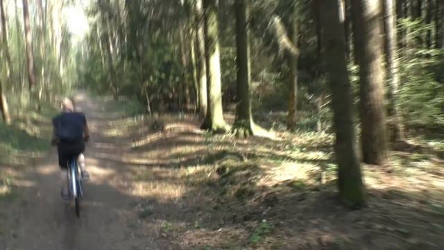 Правльная прогулка Борзой