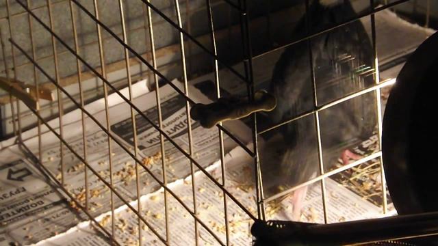 577c065e1aaf8263d069d2f76eaff405