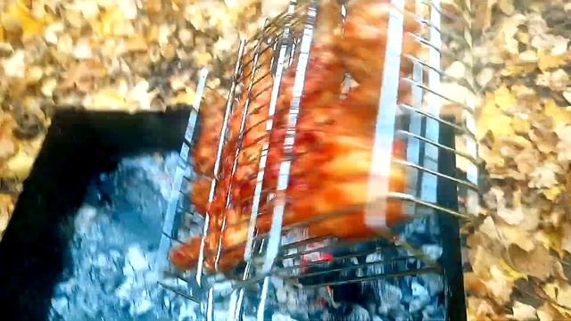 F0206e6600fab6b2937d6f653b72b55e