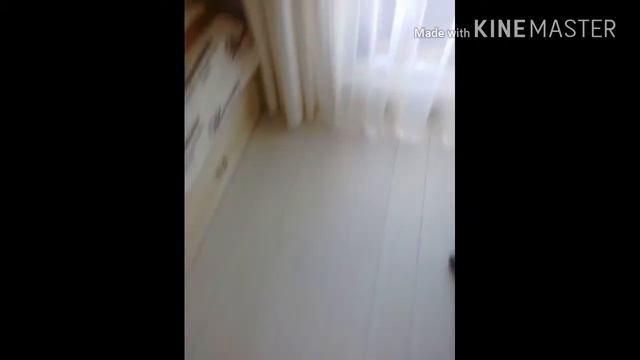 Это найнбот мини! Он подключается к телефону и меняется подцветкаи см возвращается домой!!!