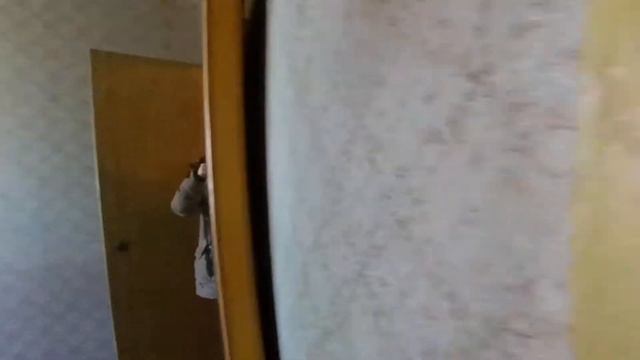 ул. Граничная 7. Железнодорожный, МО