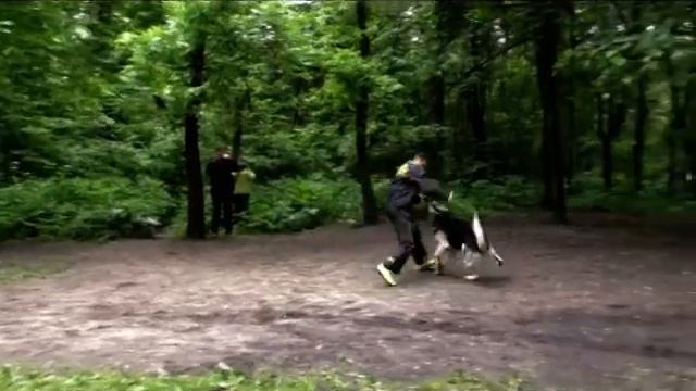 3136dc21e70bff63688de40b1c03e7b7