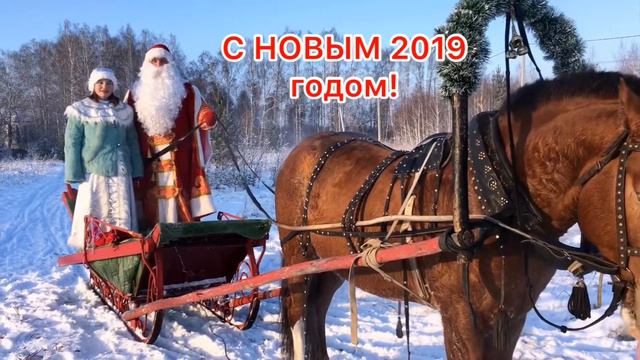 Поздравление жителей «Белых рос» с Новым 2019 годом!