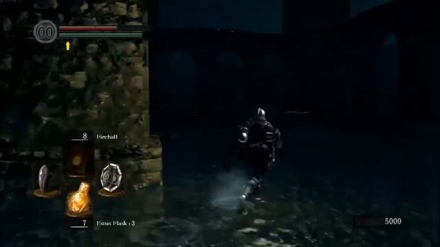 Dual Wielding Shields (Dual Shielding)