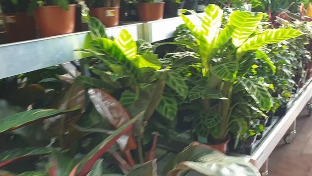 A795ec85b18891d1b9512f82e7e91fe3