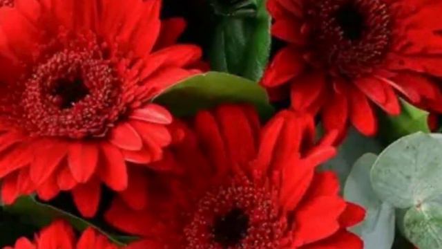 МАМОЧКА! С ПРАЗДНИКОМ. ЗДОРОВЬЯ, ЛЮБВИ И УДАЧИ