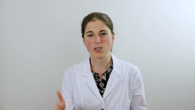 Boston Terrier Heat Cycles 101 - What You Need To Know