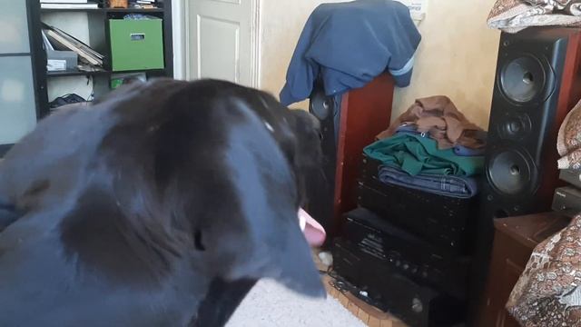 D73189c89b8e1e3d7fc6c9ca8335347c