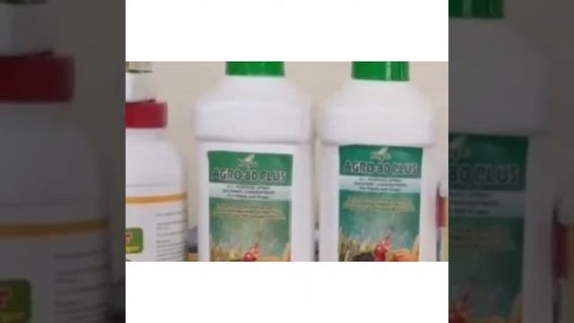 keva Agricultural Products Neem Organic Oil