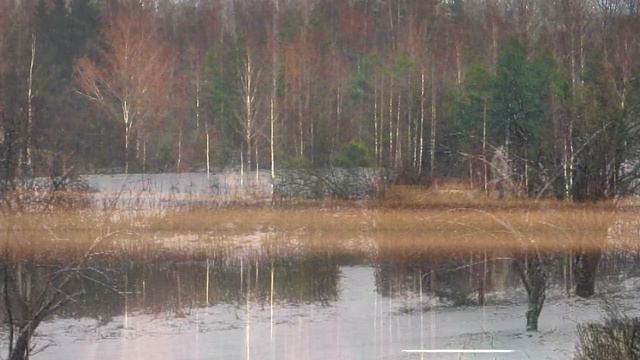 Жизнь пронеслась без явного следа.  Афанасий Фет. Читает Юрий Яковлев стихи поэзия Фет Яковлев