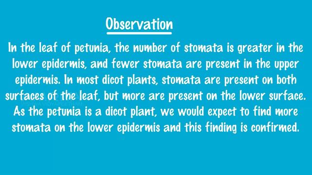 Study Of Stomatal Distribution On Leaves - MeitY OLabs