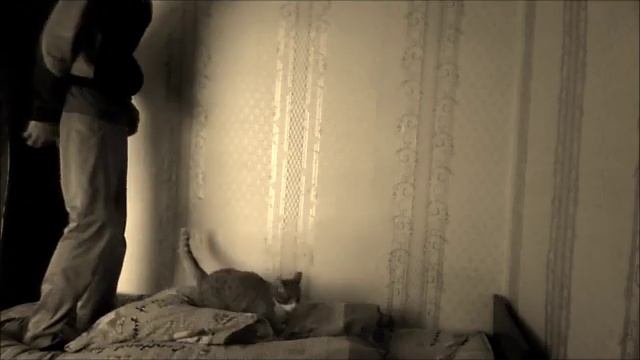 9b24d79cc4b8e3ddb67dab75465b0430