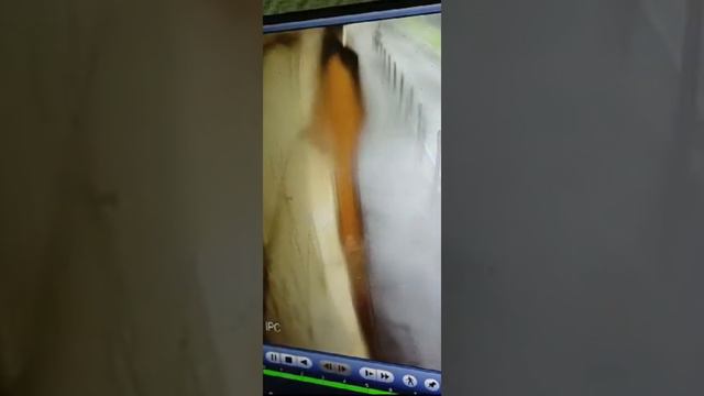 Ураган в Москве