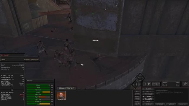 Is It Possible To Max Every Skill In Kenshi? | Slaver Start Zero-Hero
