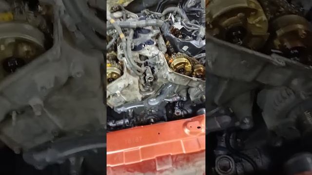 Домашнее освещение: выбор и рекомендации